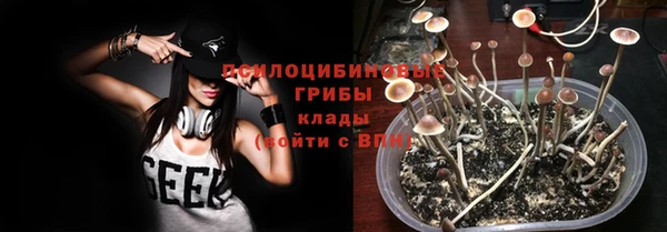 гашик Арсеньев