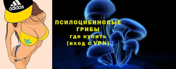 дурь Наволоки