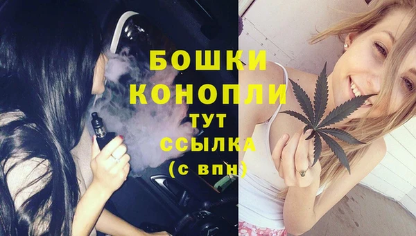 соль ск Михайлов