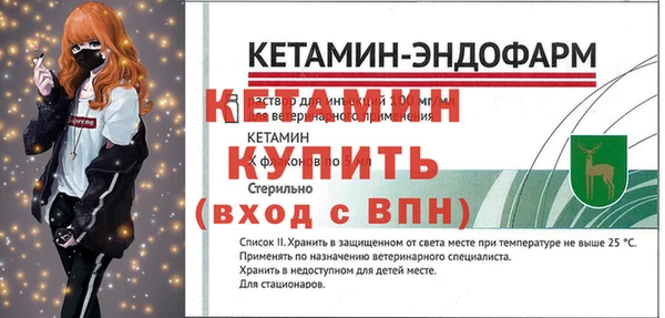индика Надым