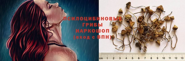 соль ск Михайлов
